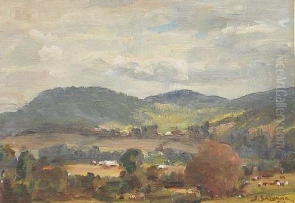 Salvana , Cudgegong Nsw Oil Painting by John Jack