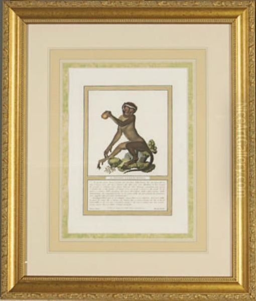 [monkeys]: Eight Plates Oil Painting by Nicolas Henri Jacob