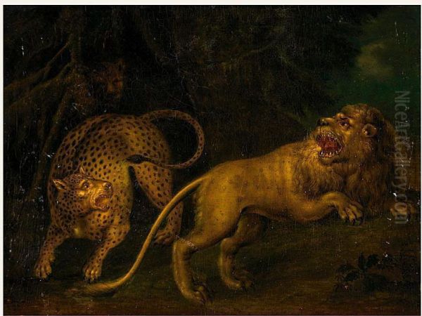 Lowe Und Leopard Oil Painting by Juriaen Jacobsen