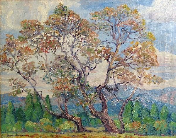 Sycamore Trees Oil Painting by Amanda Jacobson