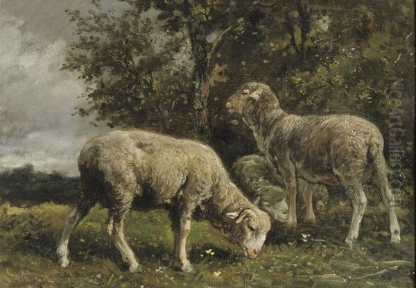 Moutons Sous Un Arbre: Sheep Under A Tree Oil Painting by Charles Jacques