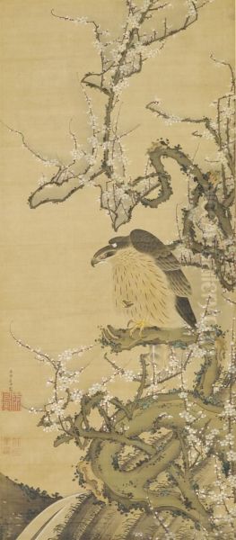 Hawk On A Blossoming Plum Branch Oil Painting by Ito Jakuchu