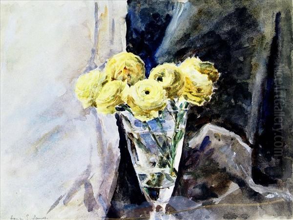 Still Lifeof Ranunculus Oil Painting by Francis Edward James