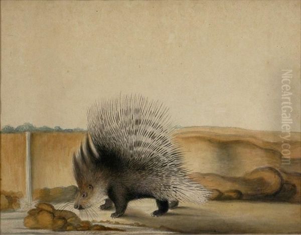 Porcupine Oil Painting by Lavalette Jean