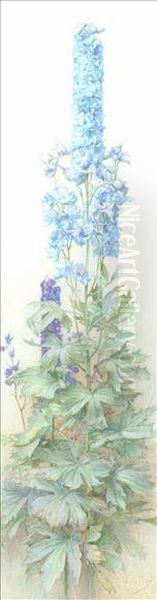 Delphiniums Oil Painting by James de Vine Aylward