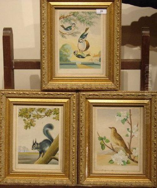 Song Thrush, Grey Squirrel And Blue Tits Oil Painting by H. Jenkins