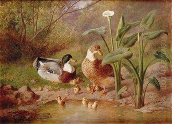 Lago Con Patos Oil Painting by Federico Jimenez Nicanor