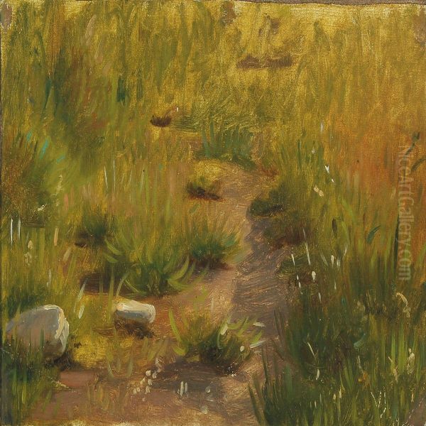 Study Of Meadow Oil Painting by Viggo Johansen