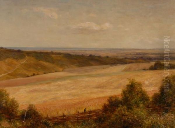 A View Of The South Downs Oil Painting by Charles Edward Johnson