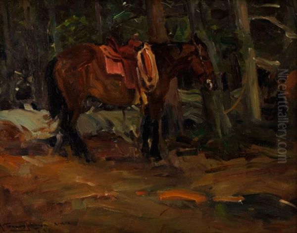 The Dark Horse Oil Painting by Frank Tenney Johnson