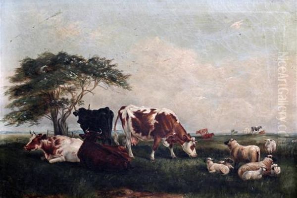 Cattle And Sheep In An Open Landscape Oil Painting by Louisa Johnson