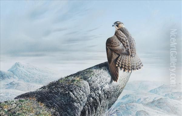 Tundrafalcon, Lake Harbour, Baffin Island Oil Painting by David Claypoole Johnston