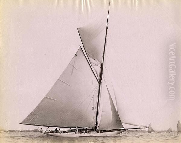 Racing Yachts, Albumen Prints Of