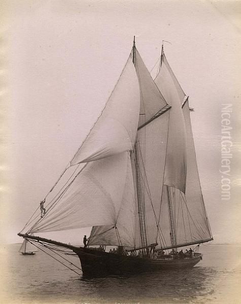 Racing Yachts, Albumen Prints Of 