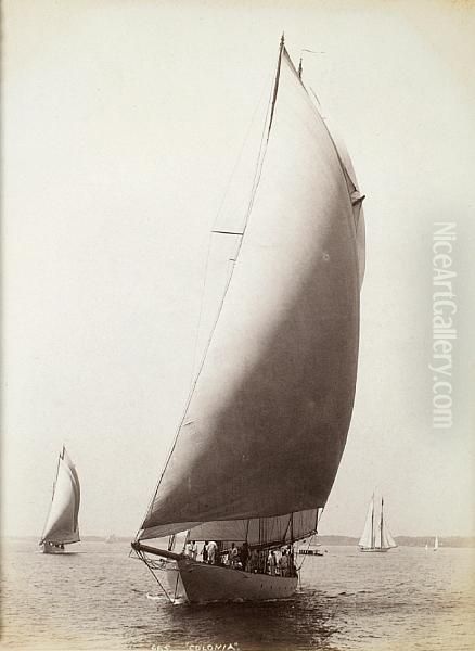 The 1893 America's Cup Oil Painting by John S. Johnston