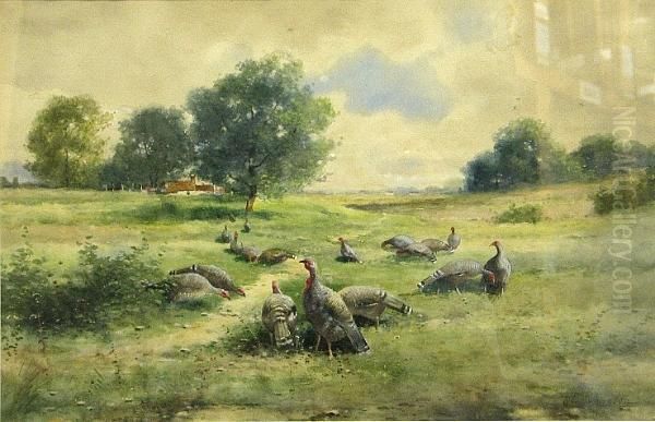 A Rafter Of Turkeys In A Field Oil Painting by Reuben Le Grand Johnston