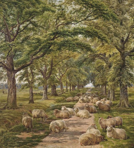 Sheep Resting On A Tree-lined Path Oil Painting by Charles Jones