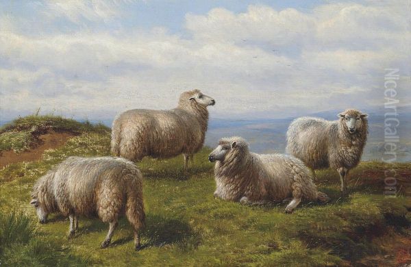 Sheep On The Hill Oil Painting by Charles Jones