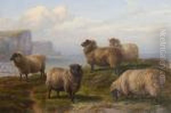 Sheep Grazing On A Cliff Top By The Sea Oil Painting by Charles Jones