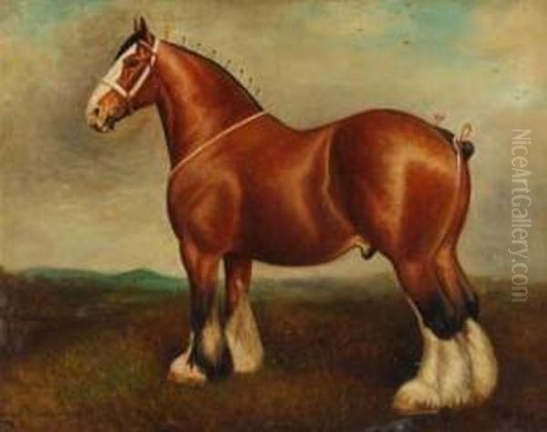 Shire Gelding - Caesar Oil Painting by Herbert Jones