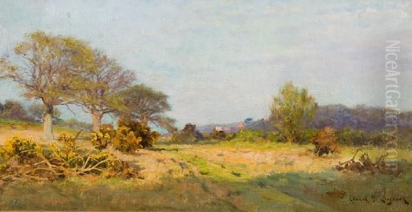 Dunwich Heath Oil Painting by John Edward Jones