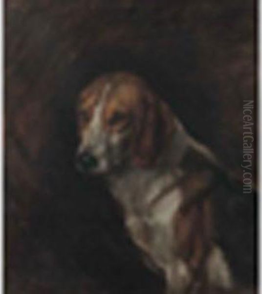 Study Of A Hound Oil Painting by Louis Johnson Jones