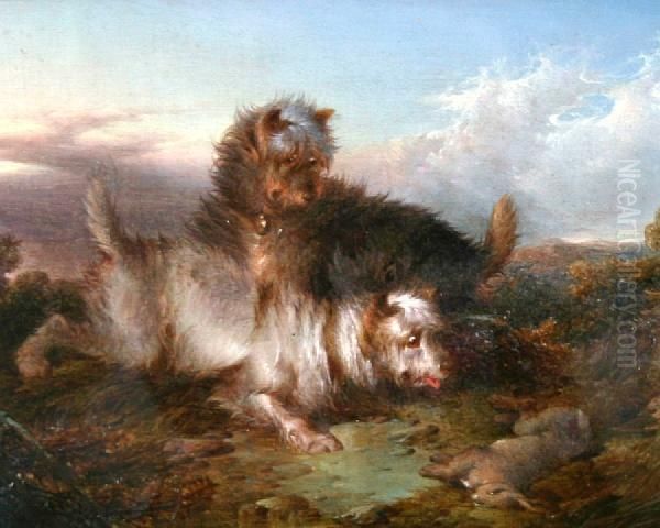 Two Terriers With Rabbit Oil Painting by Paul Jones