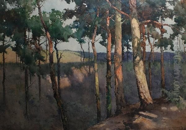 The Edge Of The Wood - Branksome Chine, Bournemouth Oil Painting by Reginald T. Jones