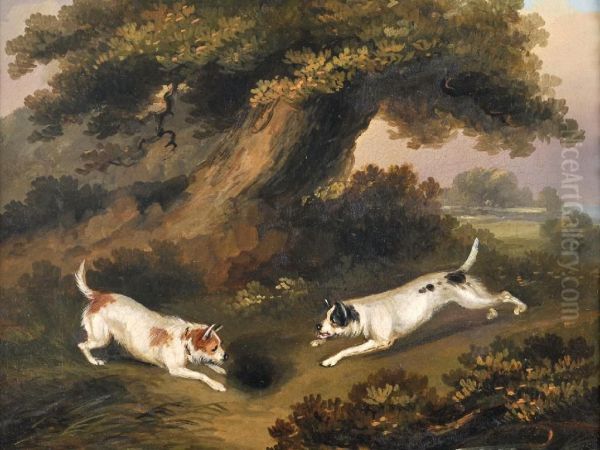 Terriers Rabbiting ; Foxes In A Wood Four Oil Painting by Richard Jones