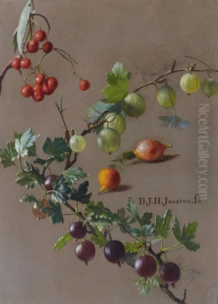 Branches De Groseille Oil Painting by Dirk Jan Hendrik Joostens