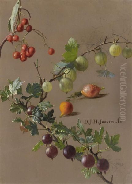 Jete De Groseilles Et De Baies Rouges Oil Painting by Dirk Jan Hendrik Joostens