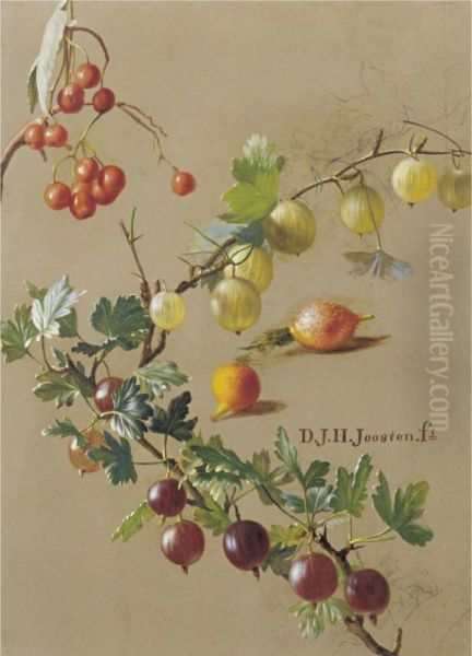 Study For Red And White Currants Oil Painting by Dirk Jan Hendrik Joostens