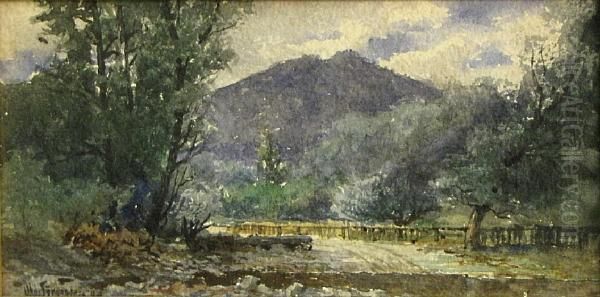 View Of Mt. Tamalpais Oil Painting by Christian A. Jorgensen