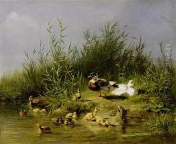 A Family Of Ducks At A Pond Oil Painting by Carl Jutz