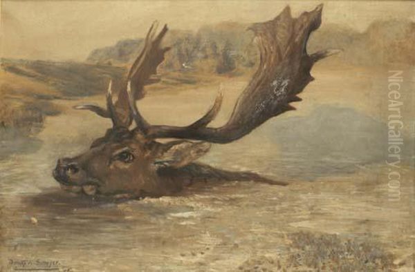 Fallow Buck Swimming Oil Painting by Dorothy K Sawyer