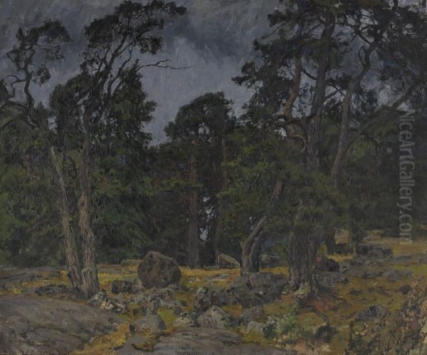 Solbelysta Tallar I Tjust Skargard Oil Painting by Gottfrid Kallstenius