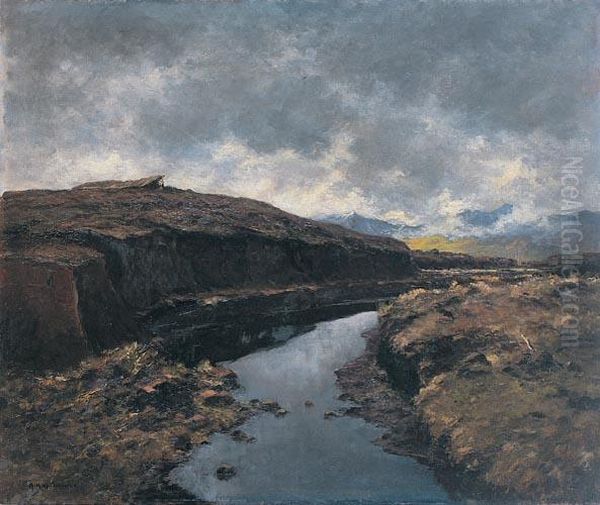 Pejzaz Z Rozlewiskiem Oil Painting by Adolf Kapfhammer