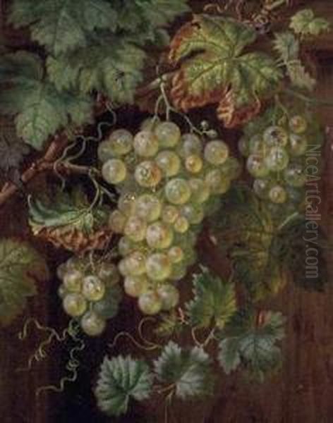 Insekten Auf Uppiger Weinrebe Oil Painting by Amalia Karcher