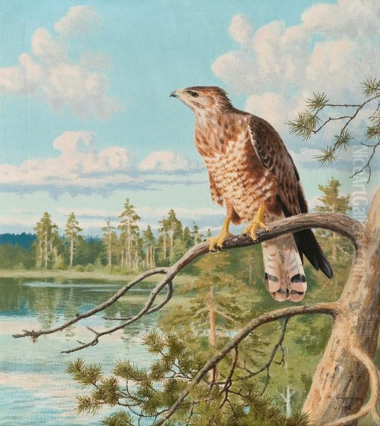 Sparrowhawk Oil Painting by Matti Karppanen