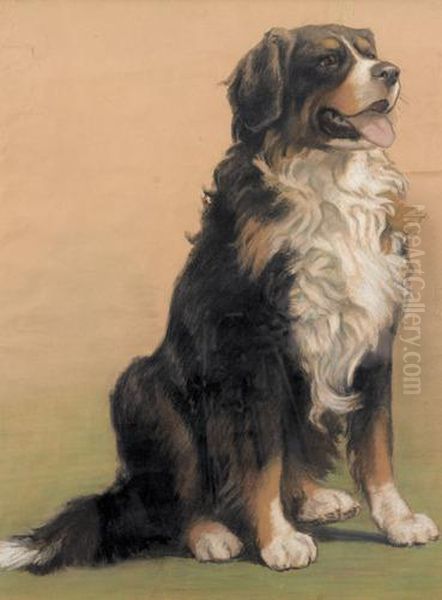 Berner Sennenhund Oil Painting by Burkhard Katzen-Flury