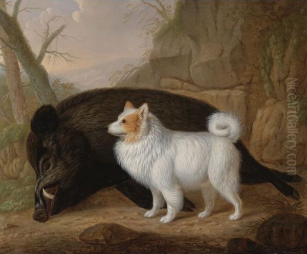 A Giant German Spitz With A Wild Boar Oil Painting by Christian Wilhelm K. Kehrer