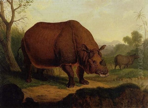 Rhinoceros Oil Painting by Christian Wilhelm K. Kehrer