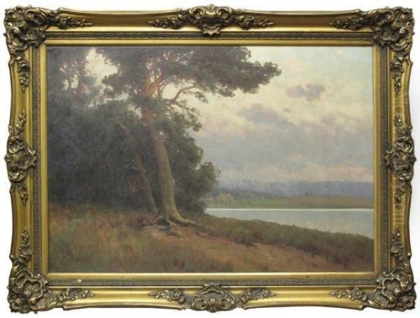 Sommerliches Seeufer Oil Painting by Carl Kenzler