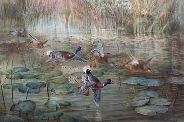 Ducks In The Lilies Oil Painting by Johan Gerard Keulemans