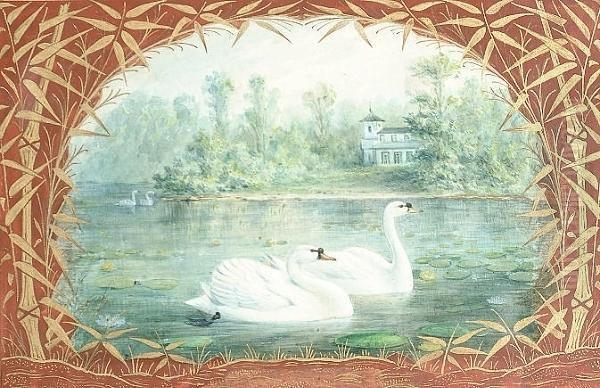 Swans; Coots; Mallards Oil Painting by Johan Gerard Keulemans