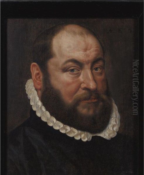 Portrait Of A Bearded Man Oil Painting by Adriaen Thomasz Ii Key