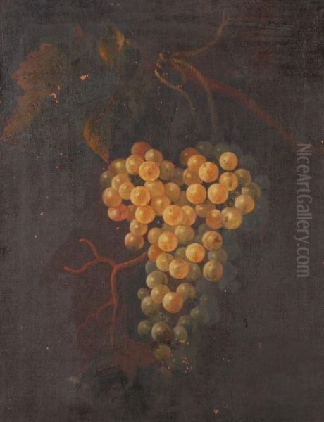 Still Life Of Grapes Oil Painting by Thomas Keyse Gloucester