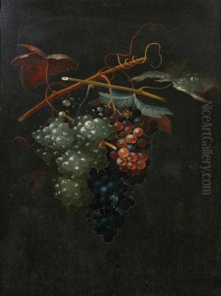 Grapes. Oil Painting by Thomas Keyse Gloucester