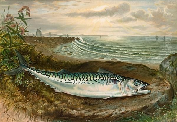 Game Fishes Of The United States Oil Painting by Samuel A. Kilbourne