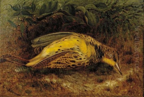 Meadow Lark Oil Painting by Samuel A. Kilbourne